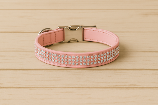 Collare Paris in rosa e azzurro